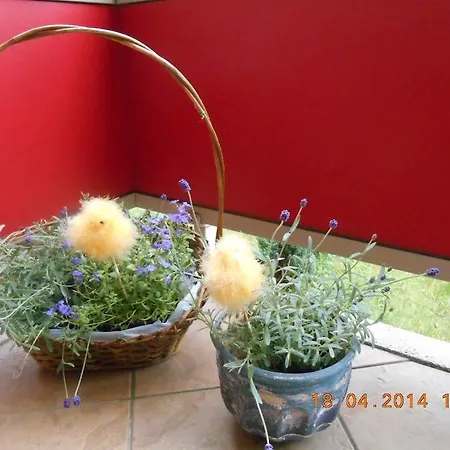 Na Wyspie - Zdrojowa *