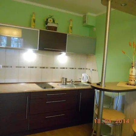 Apartment Na Wyspie - Zdrojowa *